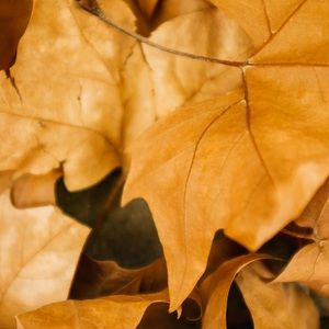 Meet your Posher, Briana